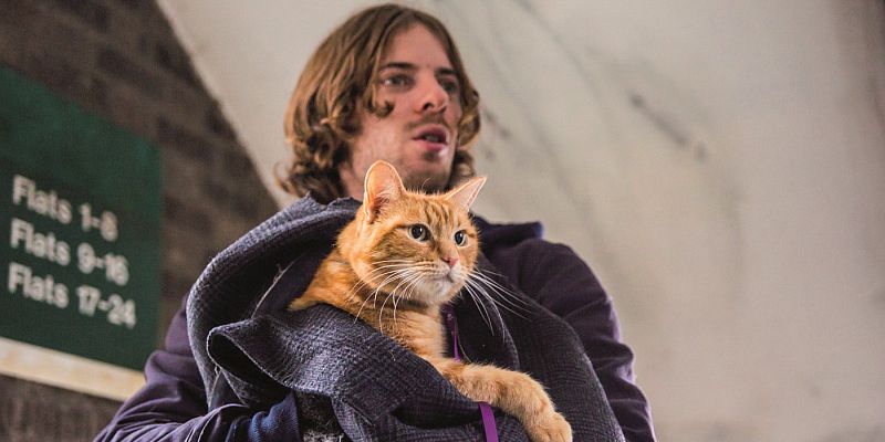 Wer rettet wen? James Bowen (Luke Treadaway) und sein Kater Bob (Foto: Concorde Filmverleih)