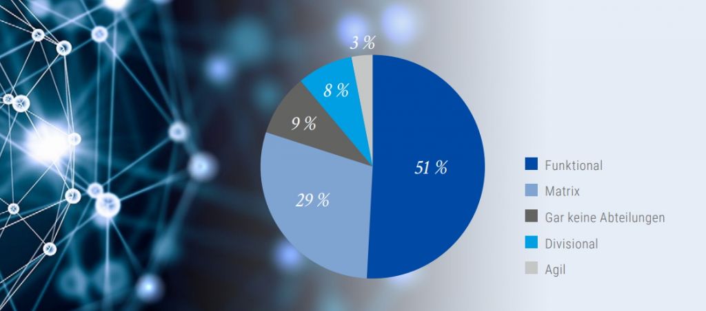 Abbildung 1: Verteilung der Organisationsformen in der Gesamtstichprobe. Grafik: StepStone/Kienbaum.