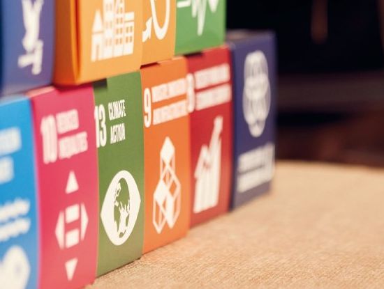„Sustainable Development Goals“